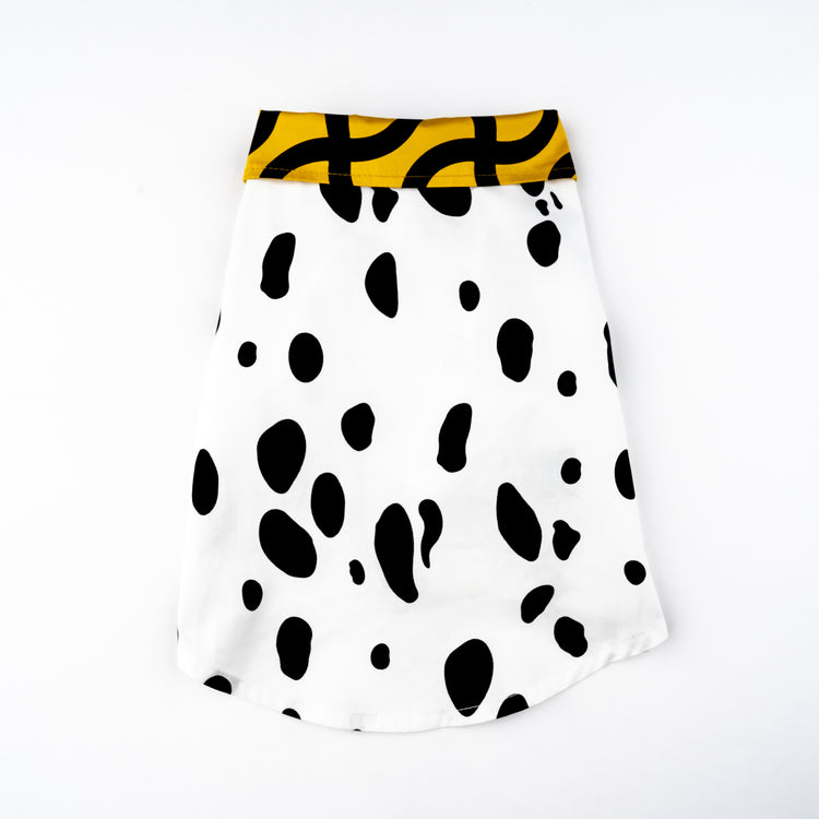 Barclaire Dalmatienne
