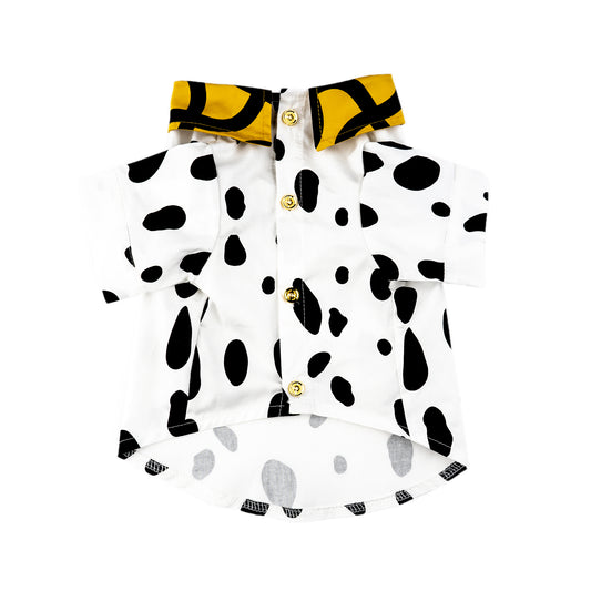 Barclaire Dalmatienne