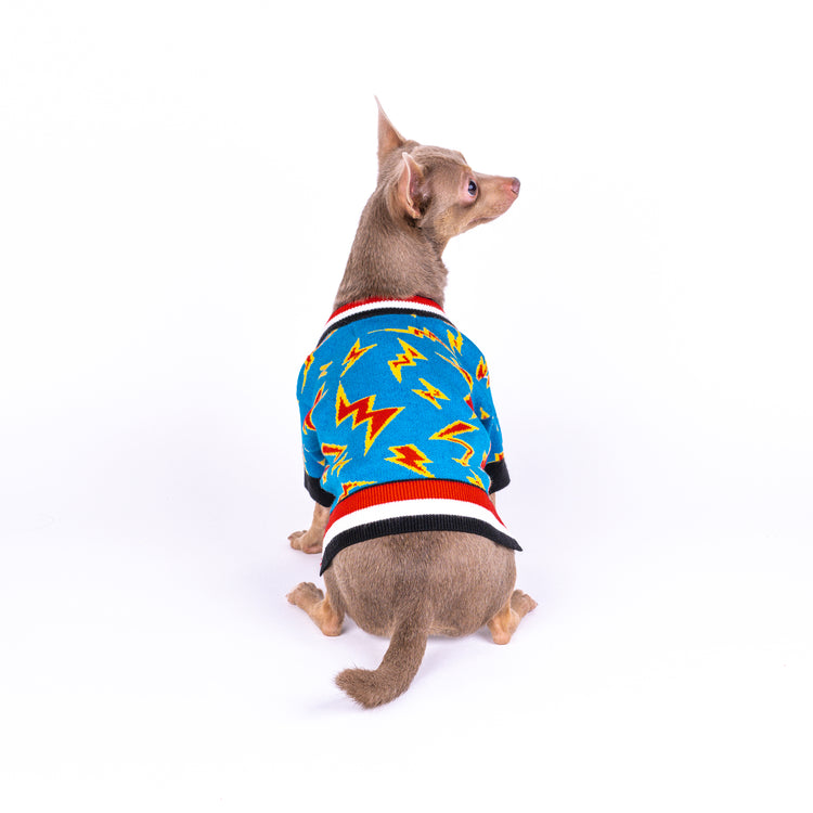dog cardigan