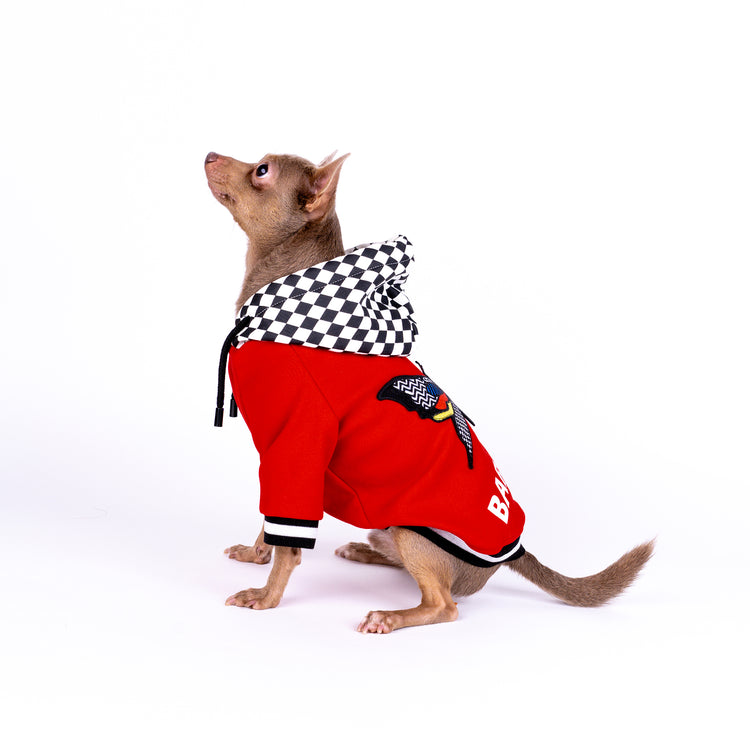 Warm Dog Hoodie with Butterfly