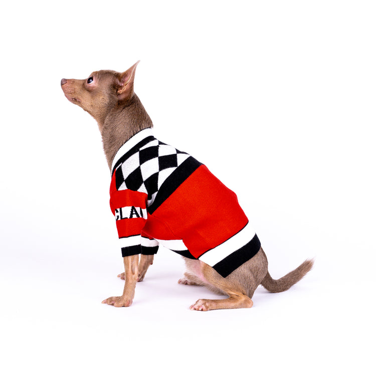 Adorable Dog Cardigan