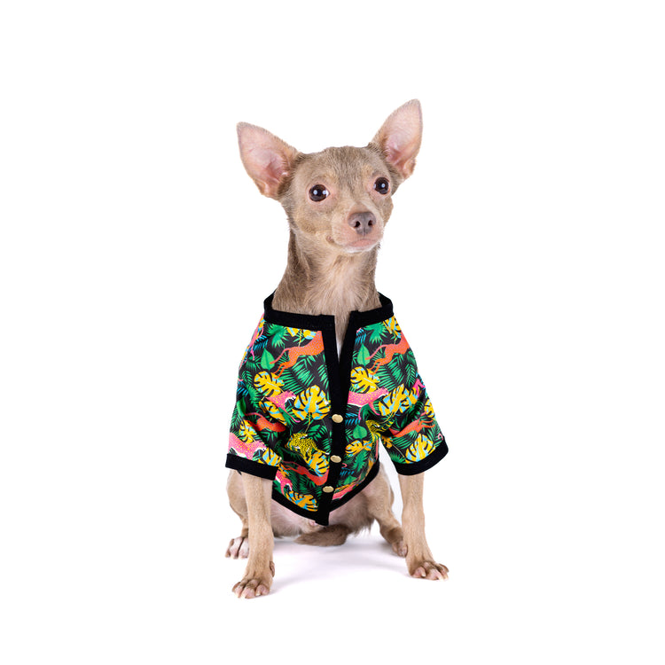 Playing Leopards Shirt - Barclaire
