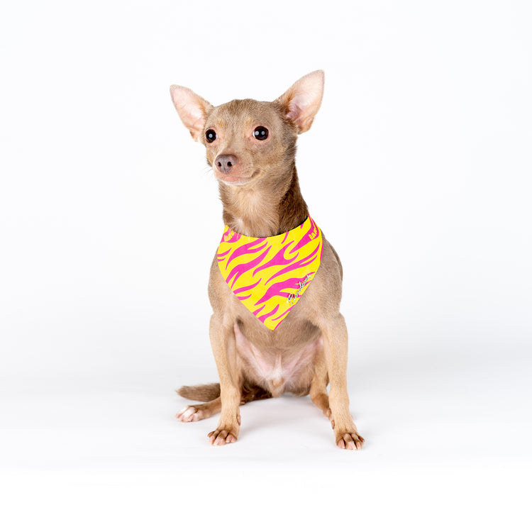 Kora Bandana
