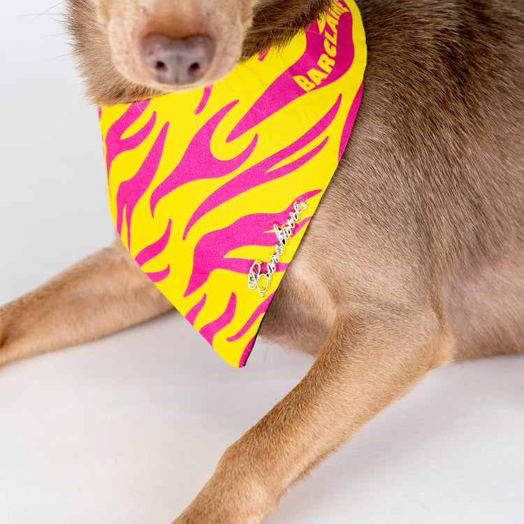 Kora Bandana