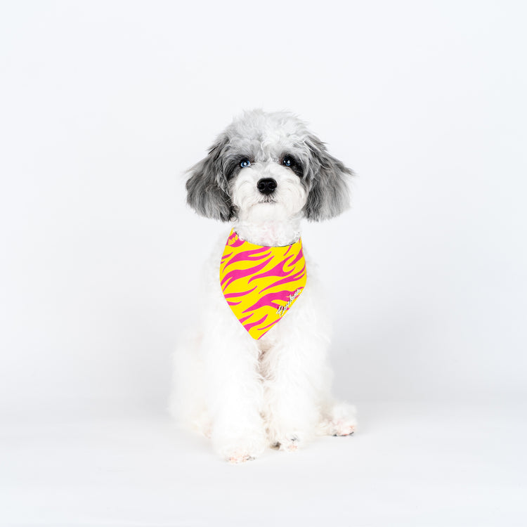 Kora Bandana
