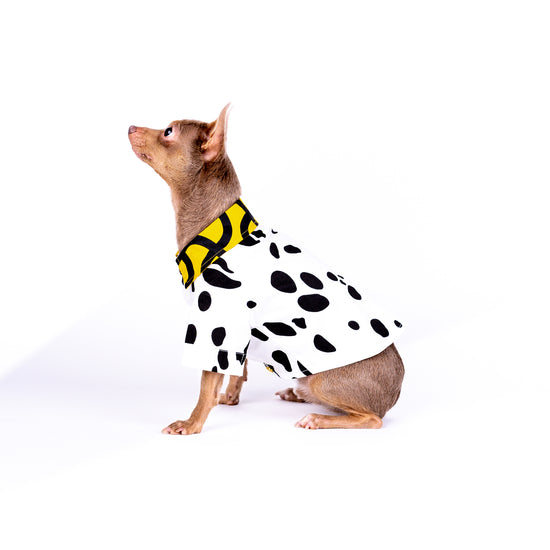Barclaire | Dalmatian Shirt for Dogs & Puppies