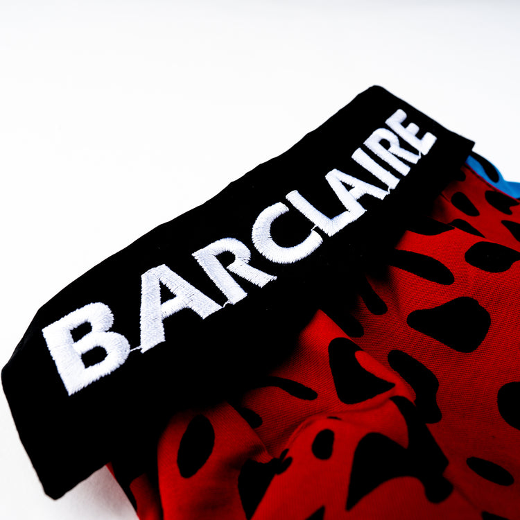 Barclaire Leopard Dog Shirt