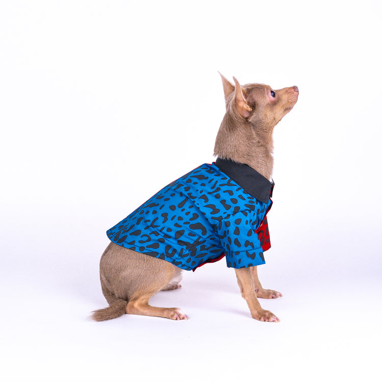 Blue Leopard Dog Shirt