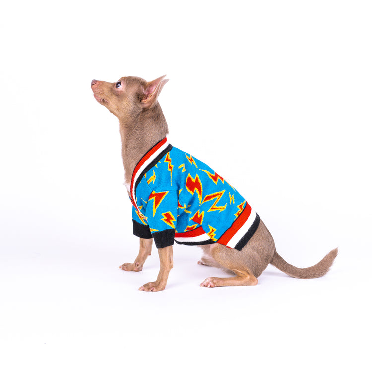 Warm Cardigan for dogs and puppies