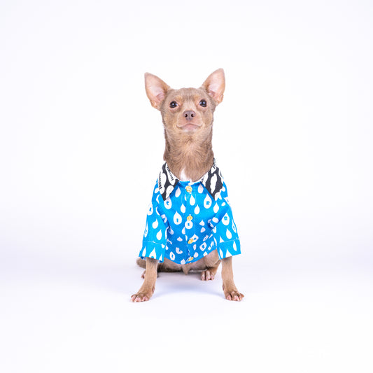 Raindrop Blue Shirt for Pets