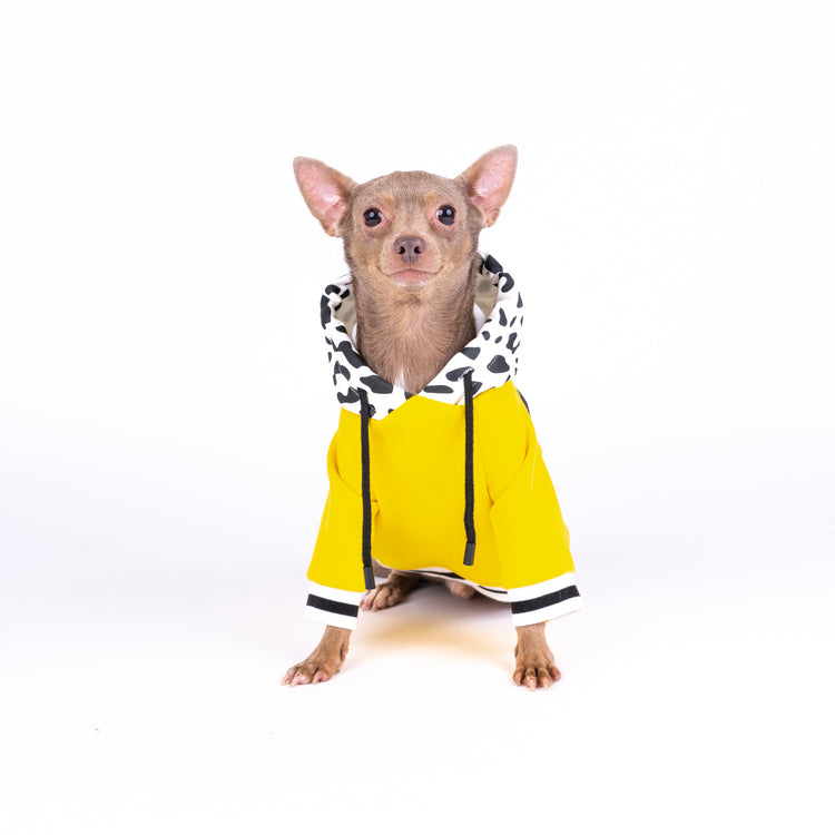 Bright Yellow Dog Hoodie