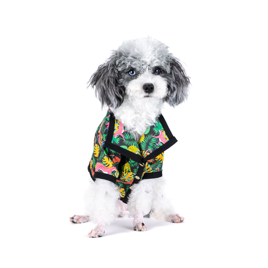 Playing Leopards Shirt - Barclaire