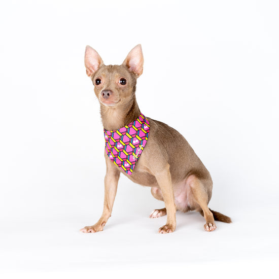 Atlanta Braves / Dog Bandana – Barkriffic