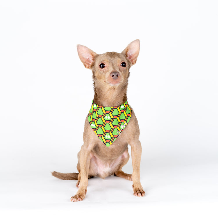 Wasabi Bandana