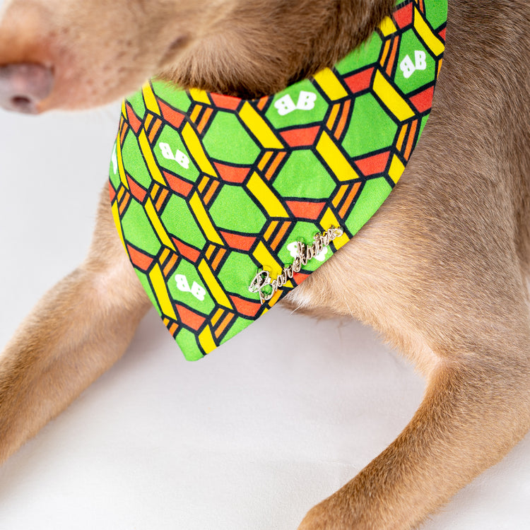 Wasabi Bandana