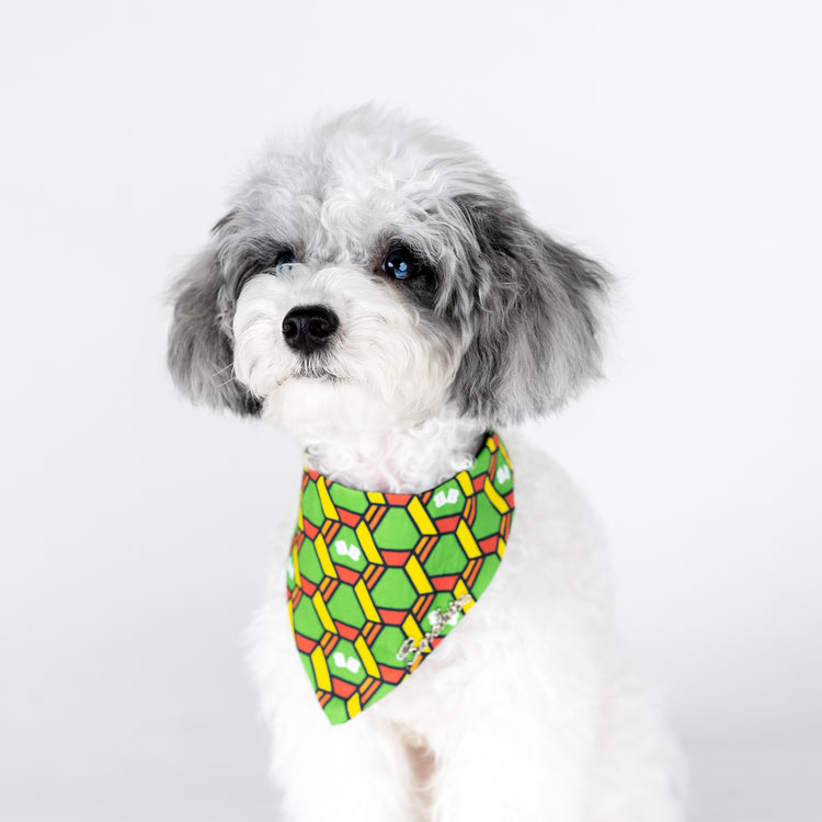 Wasabi Bandana